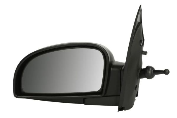 Exterior Mirror (5402-04-1137121)