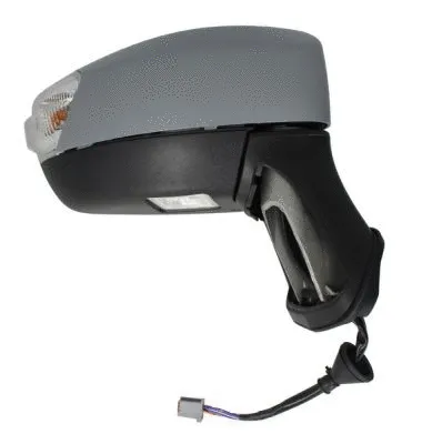 Exterior Mirror (5402-04-9929384)