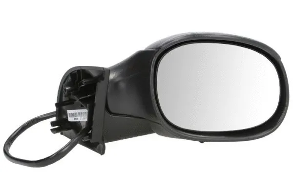 Exterior Mirror (5402-04-1127851)