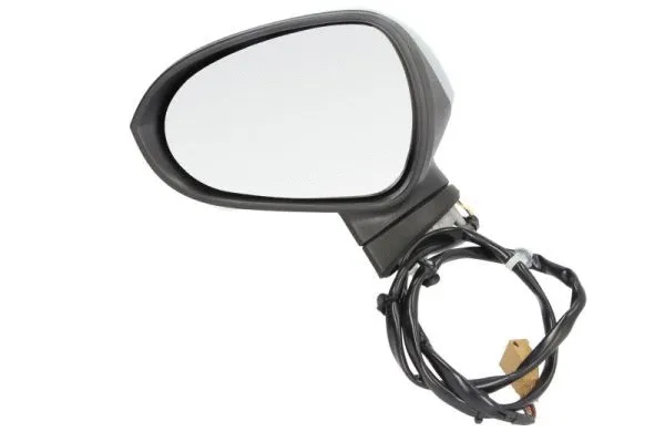 Exterior Mirror (5402-10-2002279P)