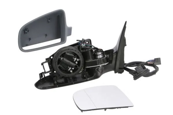 Exterior Mirror (5402-04-1129798)