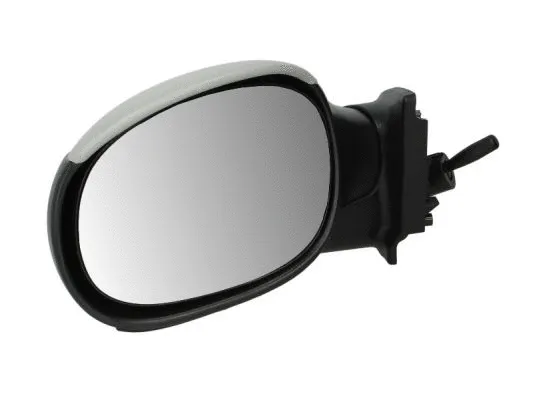 Exterior Mirror (5402-04-1137851)
