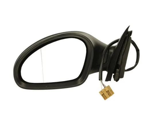 Exterior Mirror (5402-04-1125892P)
