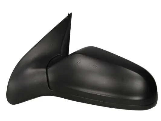 Exterior Mirror (5402-04-1125241P)
