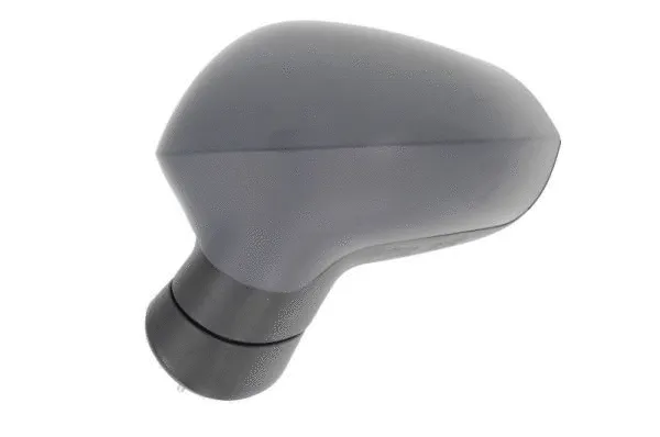 Exterior Mirror (5402-10-2002287P)