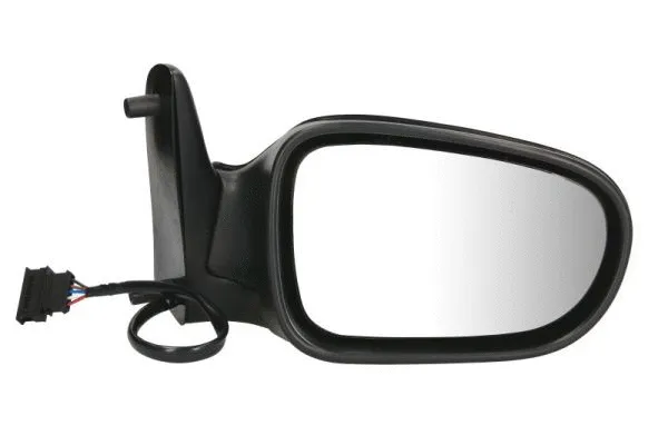 Exterior Mirror (5402-04-1121131P)