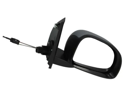 Exterior Mirror (5402-04-1112927P)