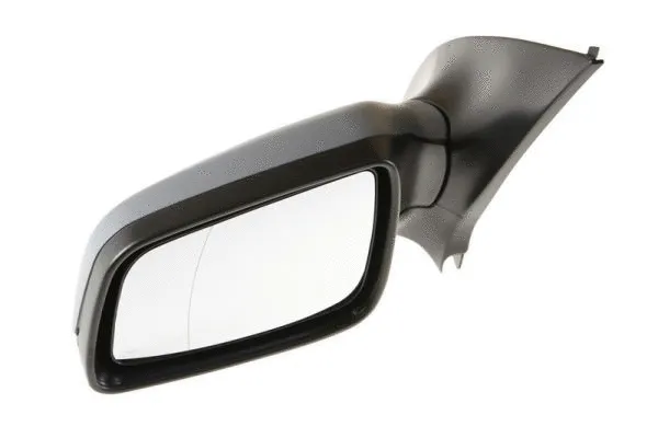 Exterior Mirror (5402-04-1115237P)