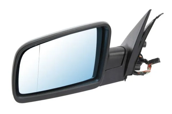 Exterior Mirror (5402-04-1191825)