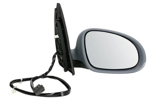 Exterior Mirror (5402-04-1139128P)