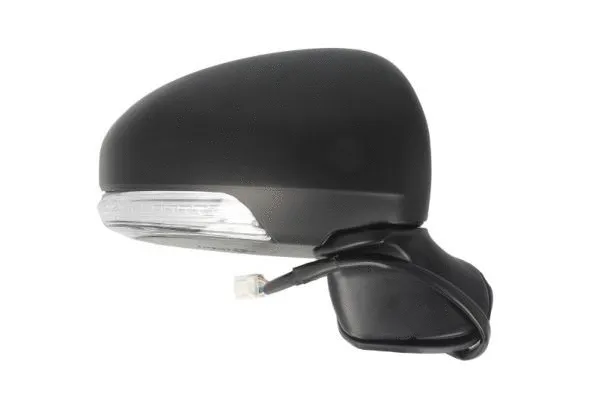 Exterior Mirror (5402-19-2002452P)