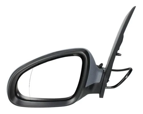 Exterior Mirror (5402-04-2121595P)
