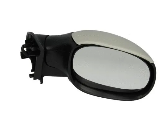Exterior Mirror (5402-04-1129851)