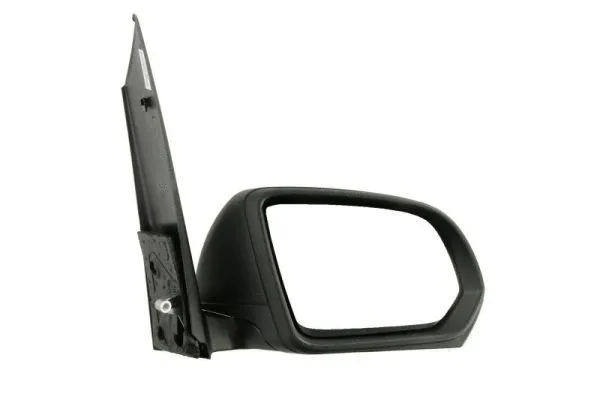 Exterior Mirror (5402-04-0203892P)