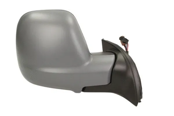 Exterior Mirror (5402-04-9212982P)