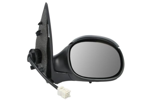 Exterior Mirror (5402-04-1131283P)