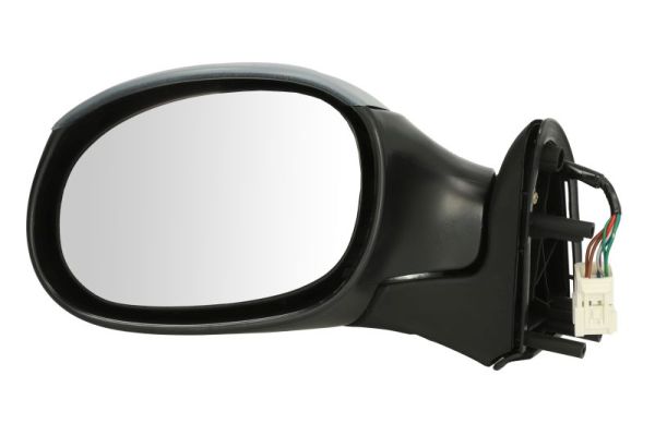 Exterior Mirror (5402-04-1139312)