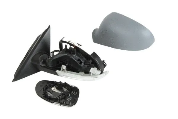 Exterior Mirror (5402-04-1125118)
