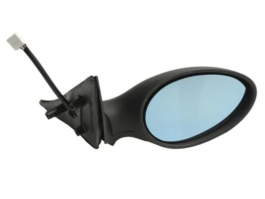 Exterior Mirror (5402-04-1121273P)