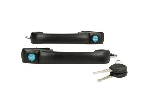 Exterior Door Handle (6010-01-015407P)