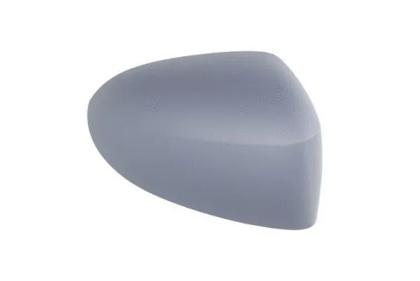 Housing, exterior mirror (6103-09-2002206P)