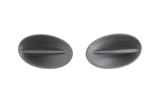 Ventilation Grilles, bumper (5703-05-6043917P)