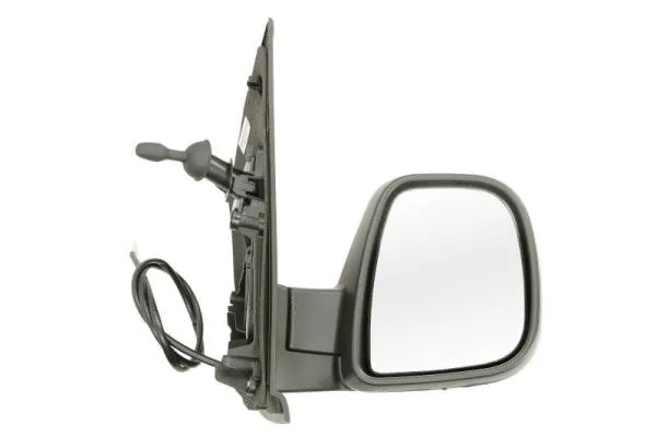 Exterior Mirror (5402-04-2103392P)