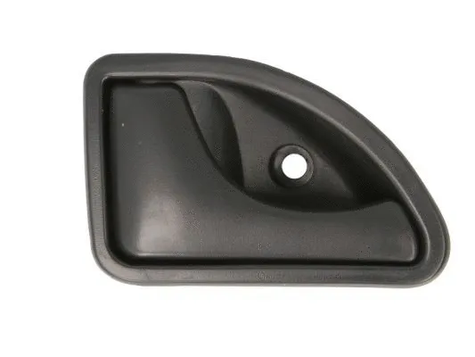 Exterior Door Handle (6010-09-029409P)