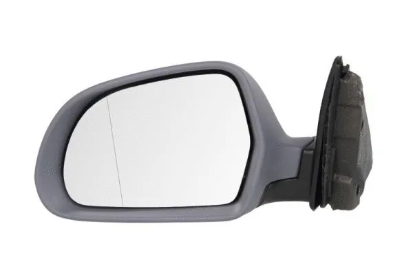 Exterior Mirror (5402-43-2002365P)