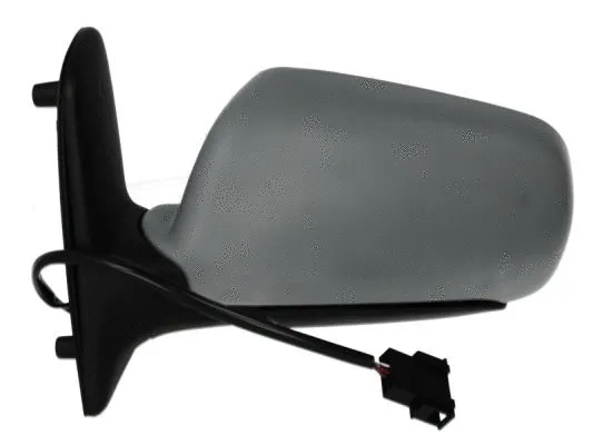 Exterior Mirror (5402-04-1139899)