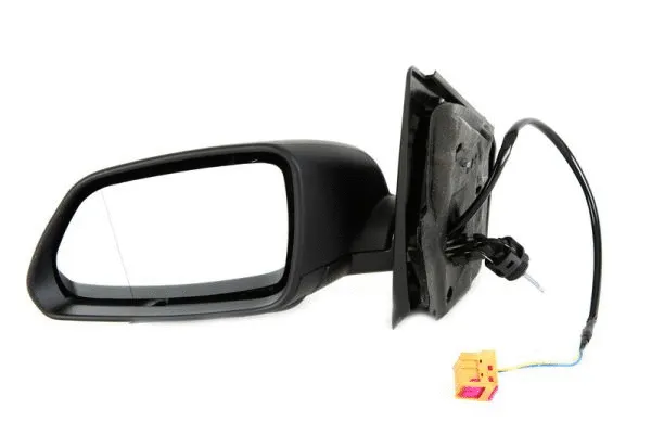 Exterior Mirror (5402-04-1195111)