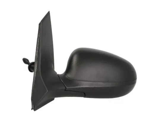 Exterior Mirror (5402-03-048363P)