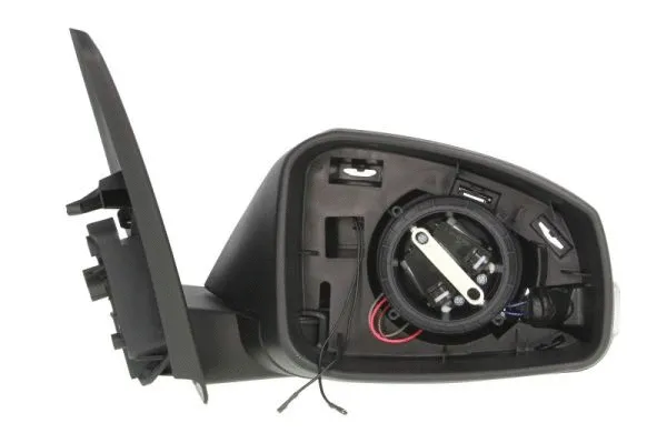 Exterior Mirror (5402-09-2002196P)