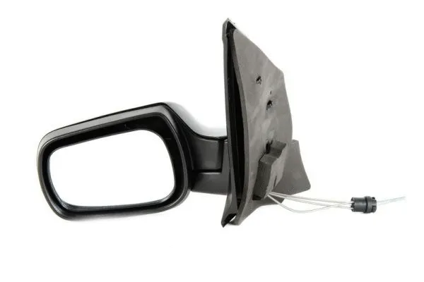 Exterior Mirror (5402-04-1112387P)