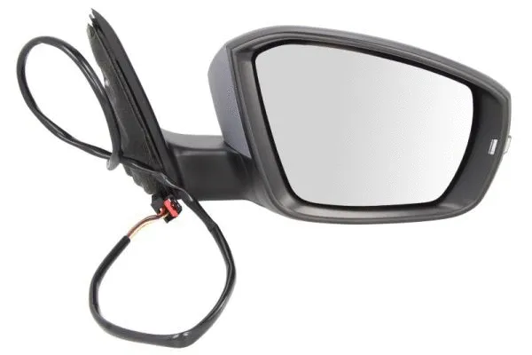 Exterior Mirror (5402-43-2002354P)