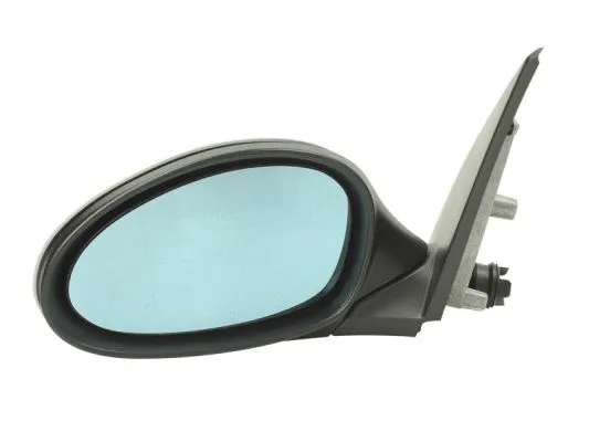Exterior Mirror (5402-04-1191823)