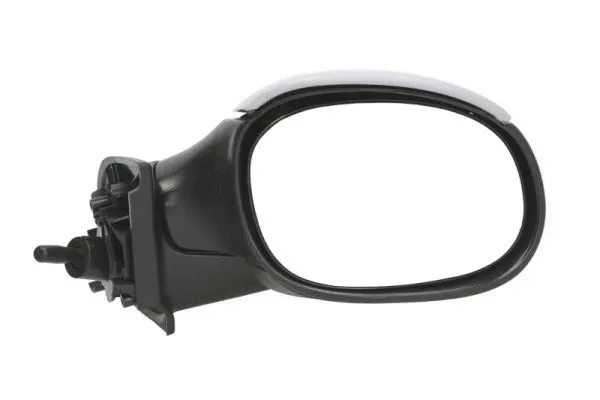 Exterior Mirror (5402-04-1138851)