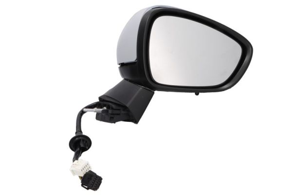 Exterior Mirror (5402-21-042366P)