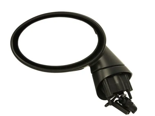 Exterior Mirror (5402-04-1139954P)