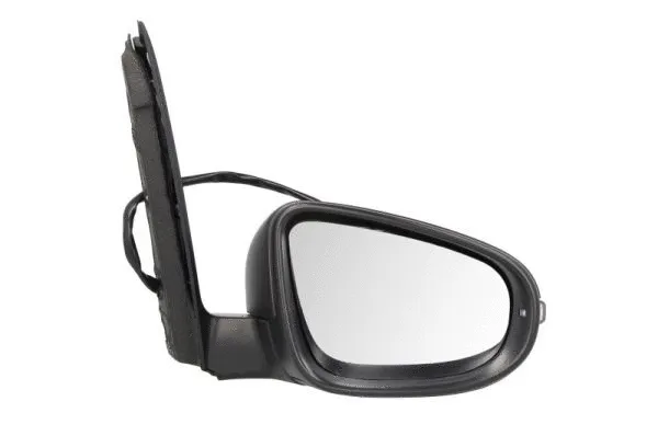Exterior Mirror (5402-01-2002736P)