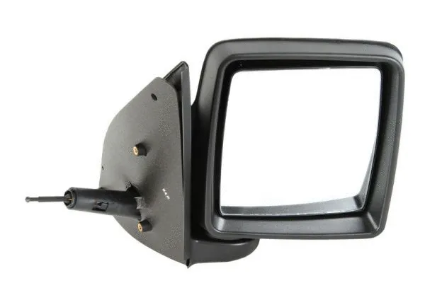 Exterior Mirror (5402-04-9238221P)