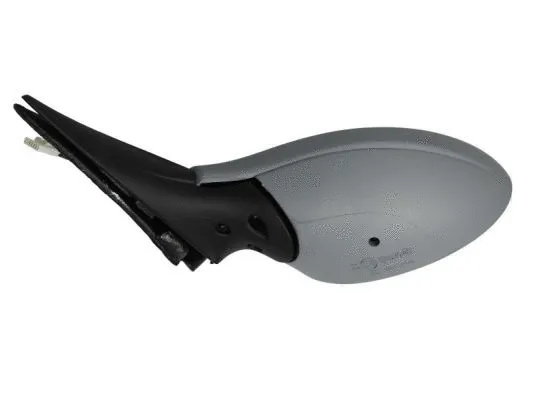 Exterior Mirror (5402-04-1139273)
