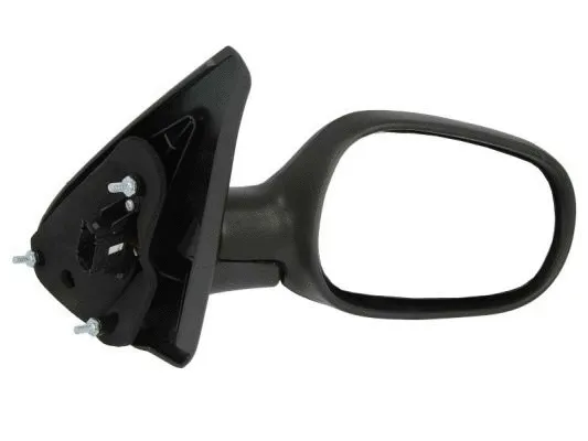 Exterior Mirror (5402-04-1121223P)