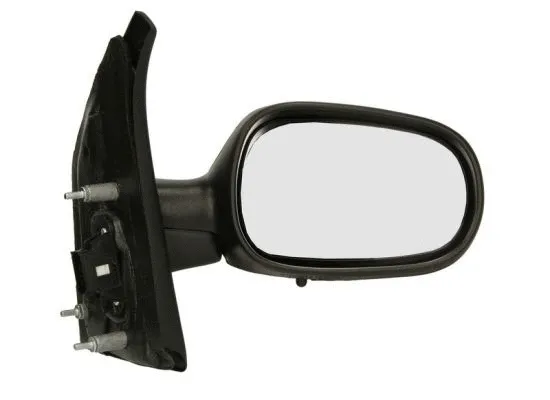 Exterior Mirror (5402-04-1121236P)