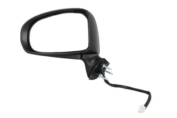 Exterior Mirror (5402-19-2002449P)