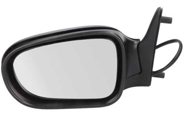 Exterior Mirror (5402-04-1125131)