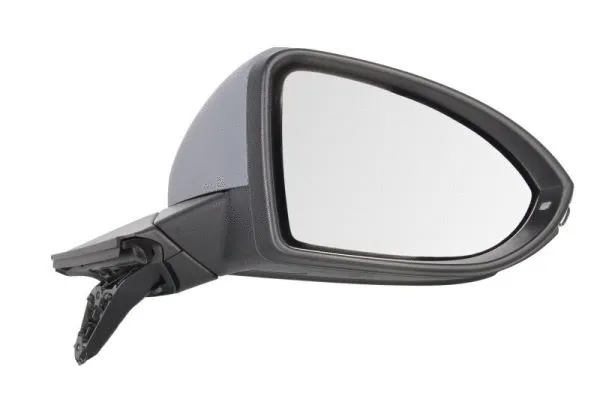 Exterior Mirror (5402-01-2002648P)