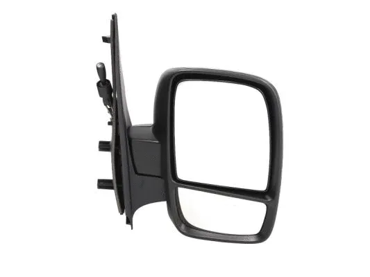 Exterior Mirror (5402-07-039362P)