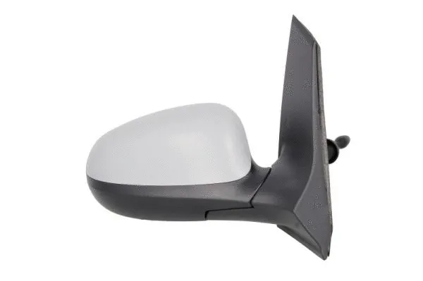 Exterior Mirror (5402-03-2001206P)