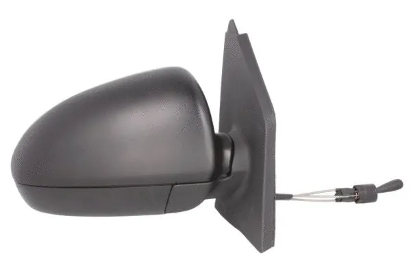 Exterior Mirror